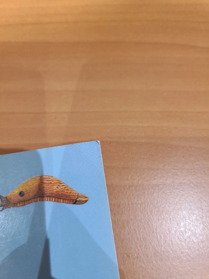 Cache cache le monde sous terre - photo numéro 3