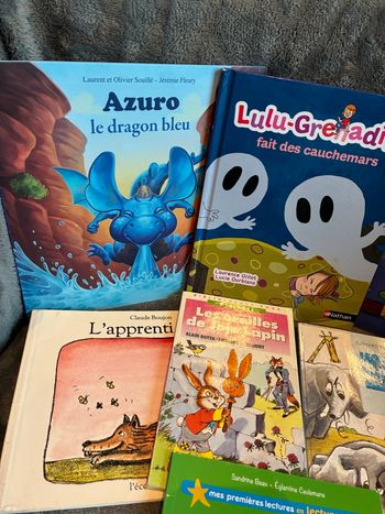 Lot livres jeunesse premières lectures 