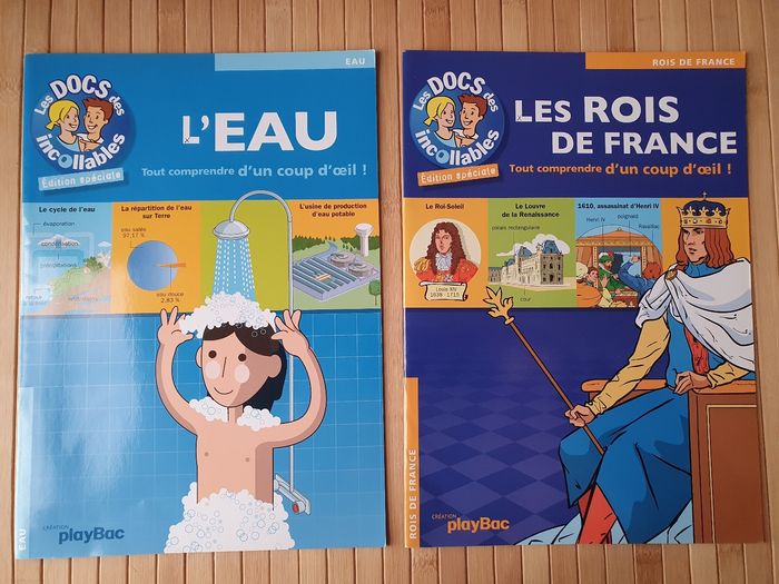 Lot de 13 livres "Les Docs des Incollables" - photo numéro 6
