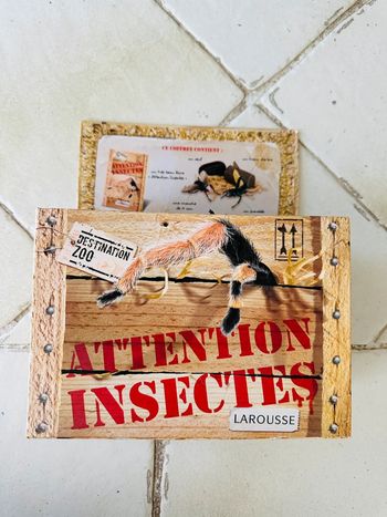 Jeu - Attention insectes