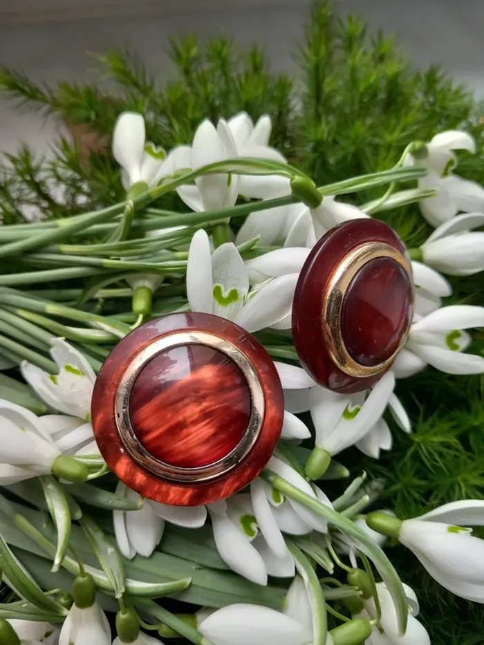 Boucles d'oreilles ancienne marron à clip