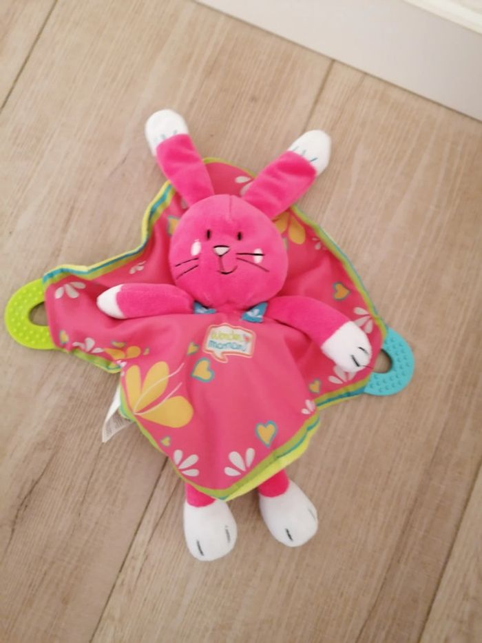 Lapin rose - photo numéro 2