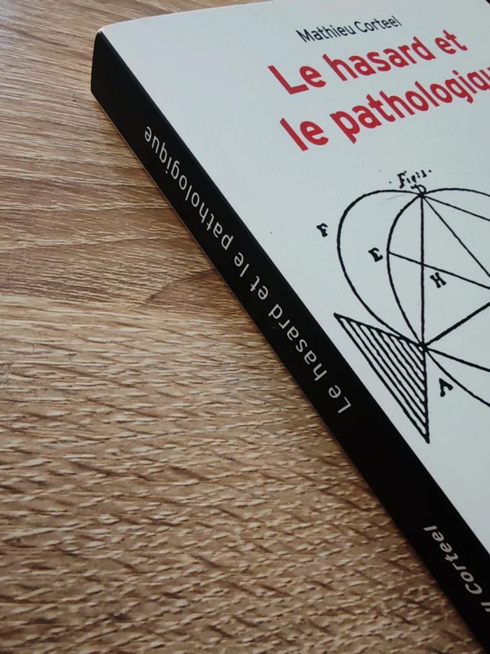 Mathieu Corteel 🌸 Le hasard et le pathologique - photo numéro 3