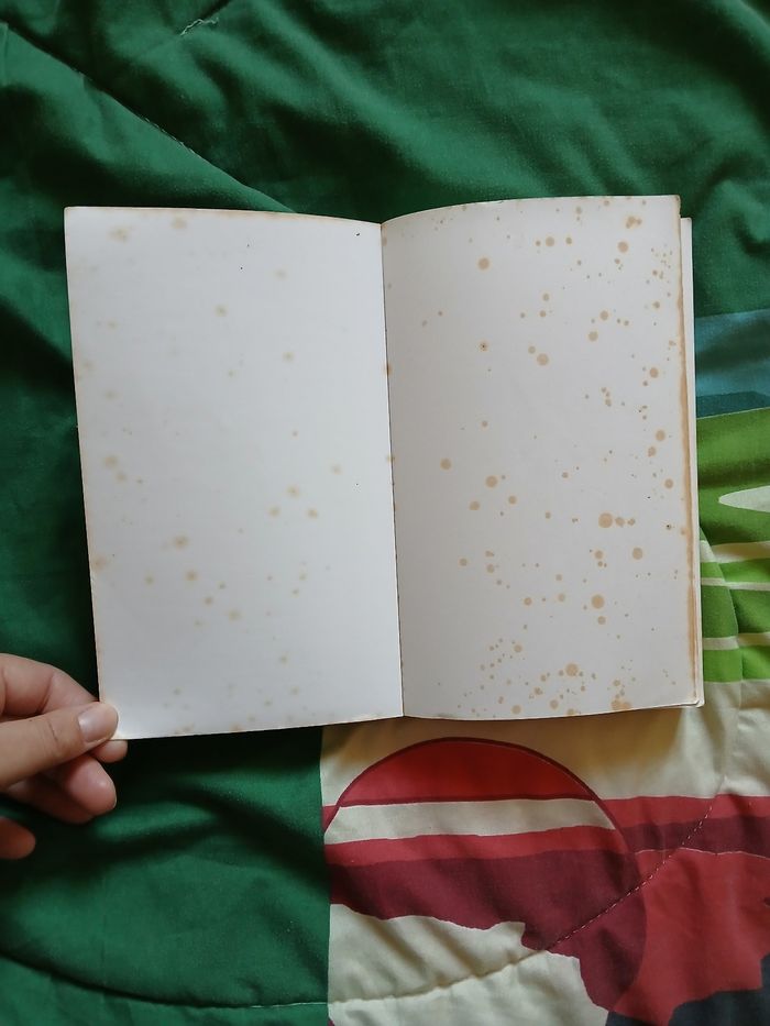 Livre "Phoneplay" de Morgane Bicail - photo numéro 3