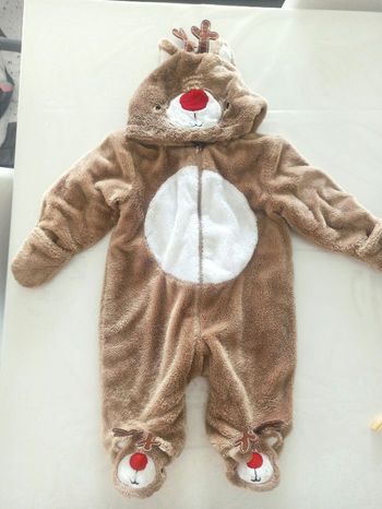 Combipilote / sur pyjama renne