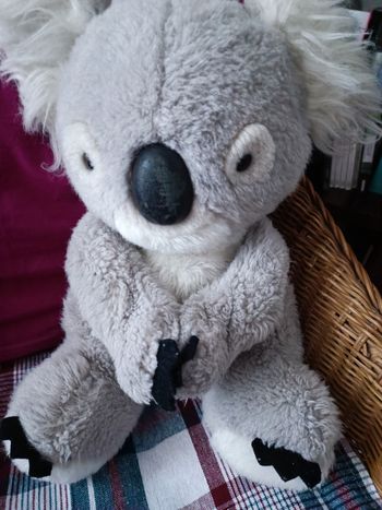 Peluche Koala
