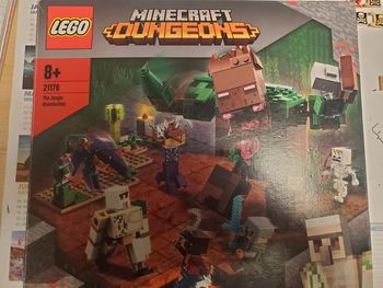 Lego minecraft Donjon .