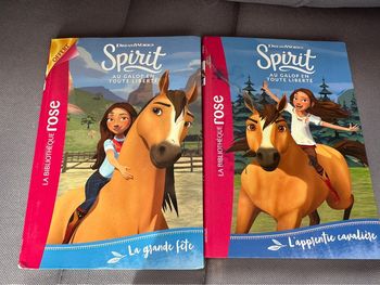 Spirit la bibliothèque rose