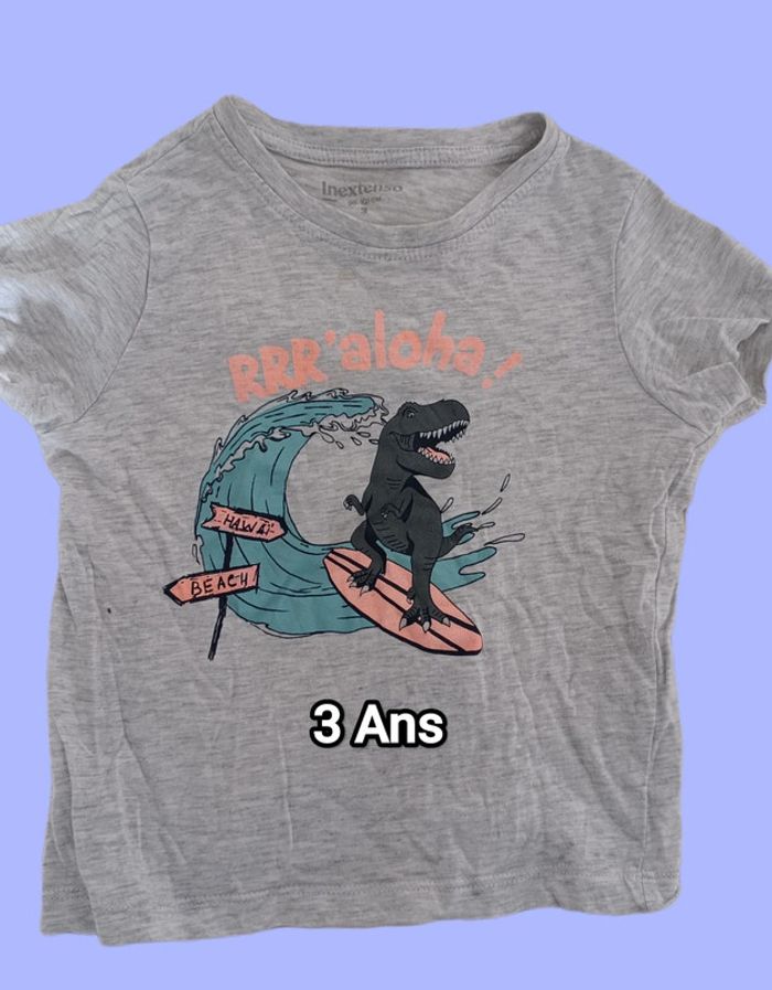 Tee shirt dinosaure. 3 Ans. In extenso.