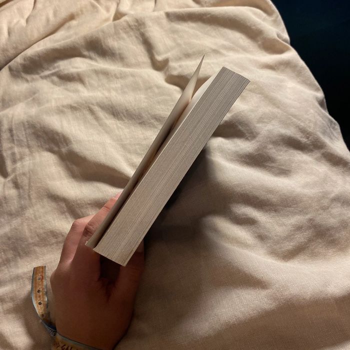 Tugdual - photo numéro 3