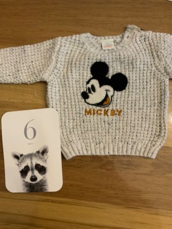Pull Disney 6 mois
