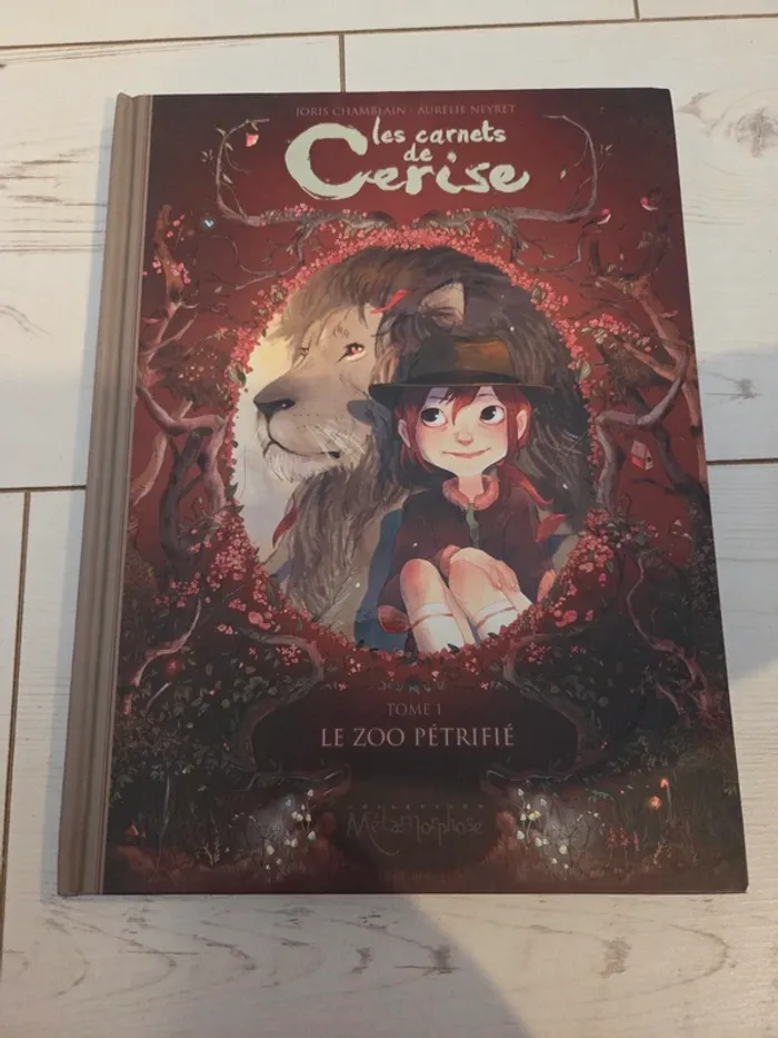 Les carnets de cerise tome 1