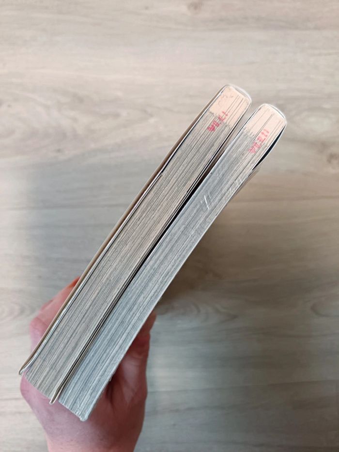 Manga en coréen le mari de mon frère tome 1 et 2 Tagame Genghiro - photo numéro 7