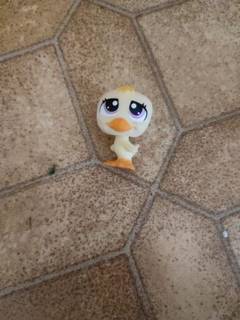 Figurines petshop