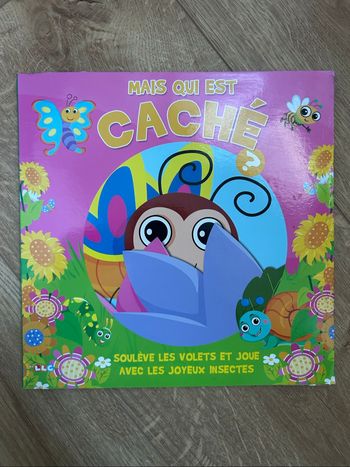 Mais qui est caché ?