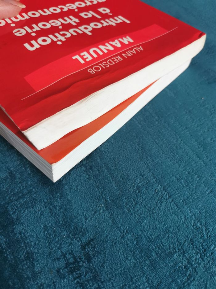 Lot de 2 manuels éd. Dunod Monnaie et financement de l'économie et la théorie macroéconomique - photo numéro 7