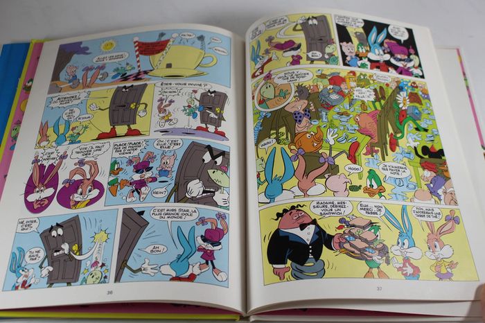 Ca Cartoon Canal + Tiny Toons L'ile aux dinosaures et Les Envahisseurs de la planete Zootar - photo numéro 4