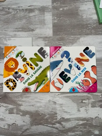 Lot livre l'imagerie animée fleurus