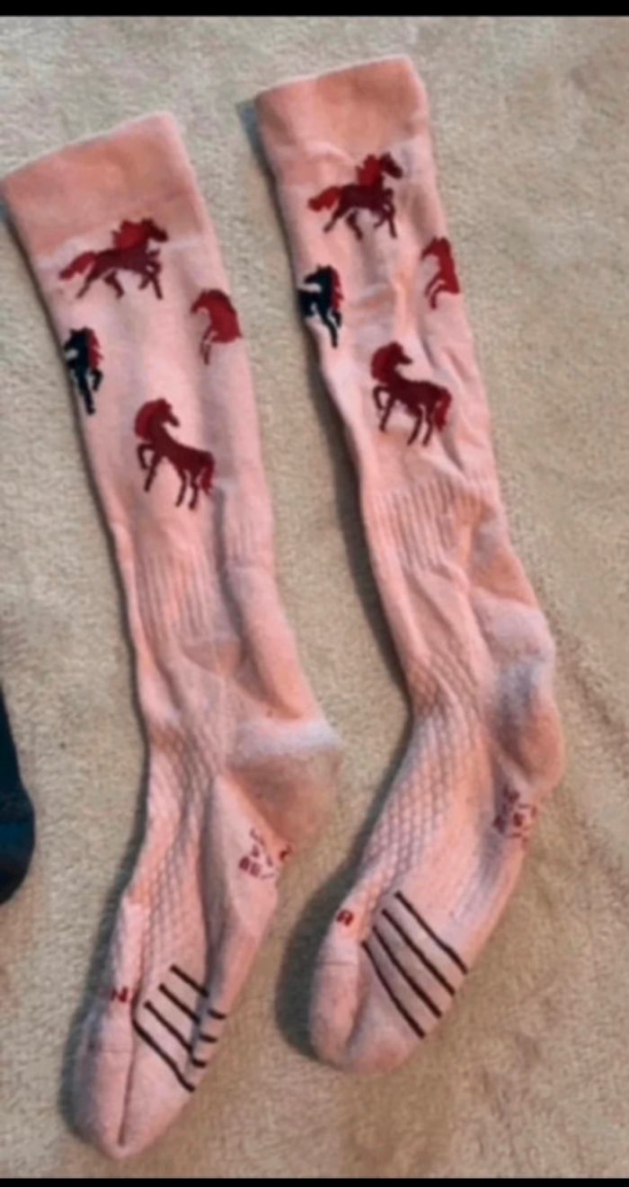 Équitation - photo numéro 3