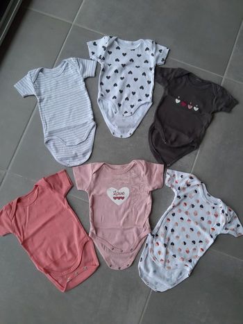Bodies manches courtes 3 mois
