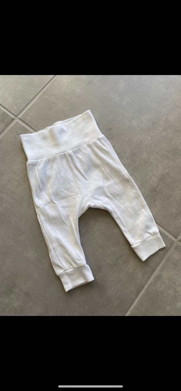 Ensemble Tee shirt manches longues et bas de pantalon Coton organic 3 mois - photo numéro 10