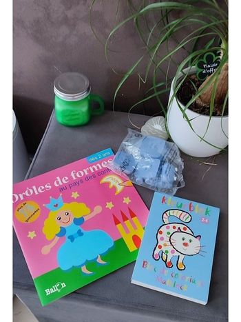 Carnets d'activités