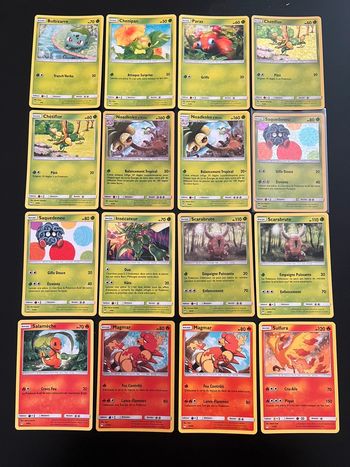 Carte Pokémon Mac do