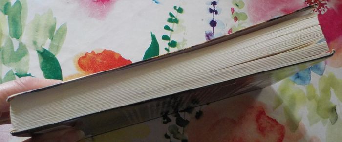 Le Jeu des Trente de William Kotzwinkle Ed. Le Grand Livre du Mois - photo numéro 4