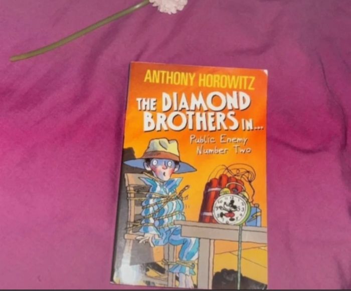 The diamond brothers in book