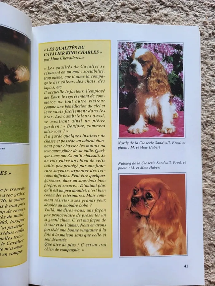 Livre chiens de race "Le cavalier King Charles" de Christian Limouzy - photo numéro 8