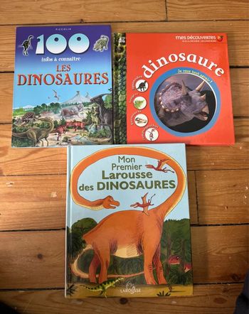 Lot livres dinosaures