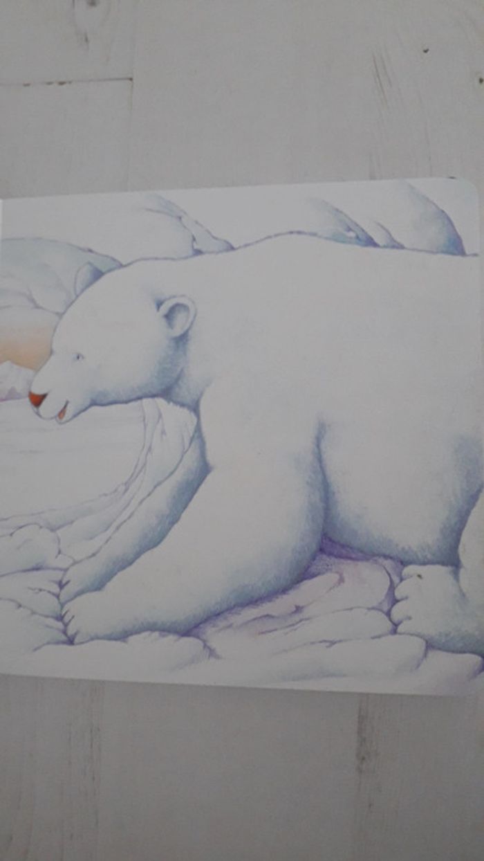 Livre à caresser Ours blanc - photo numéro 2