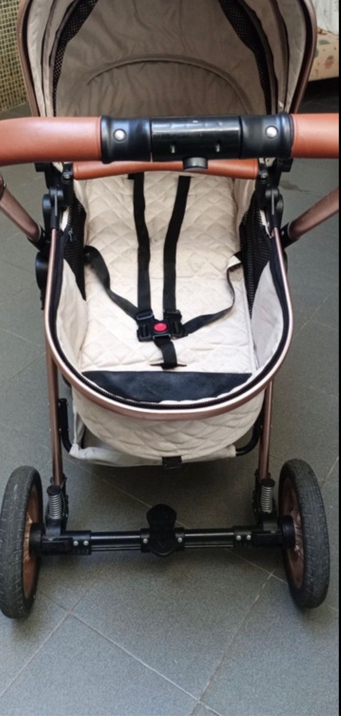 Landau CIBEX
