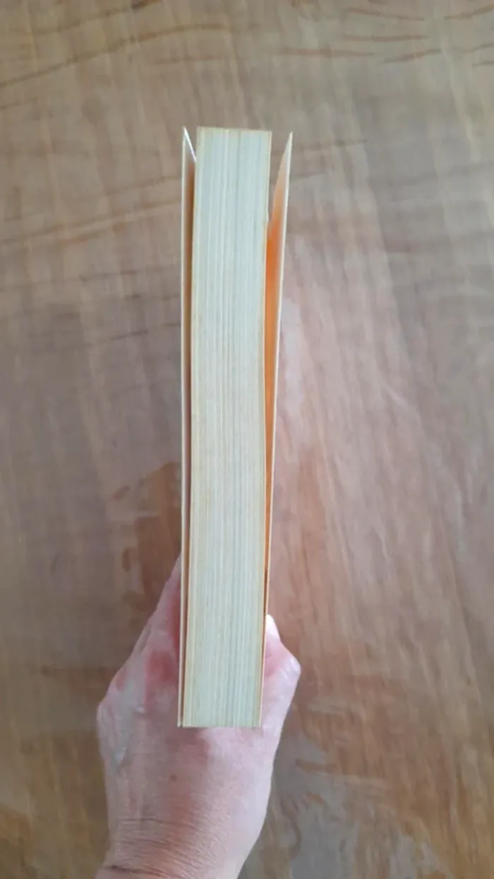 Livre Moi & mon secret de Wendy Markham - photo numéro 3