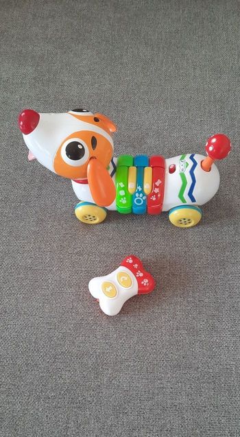 Chien télécommandé musical