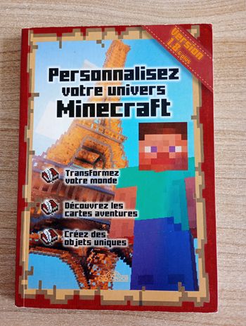 Livre Minecraft