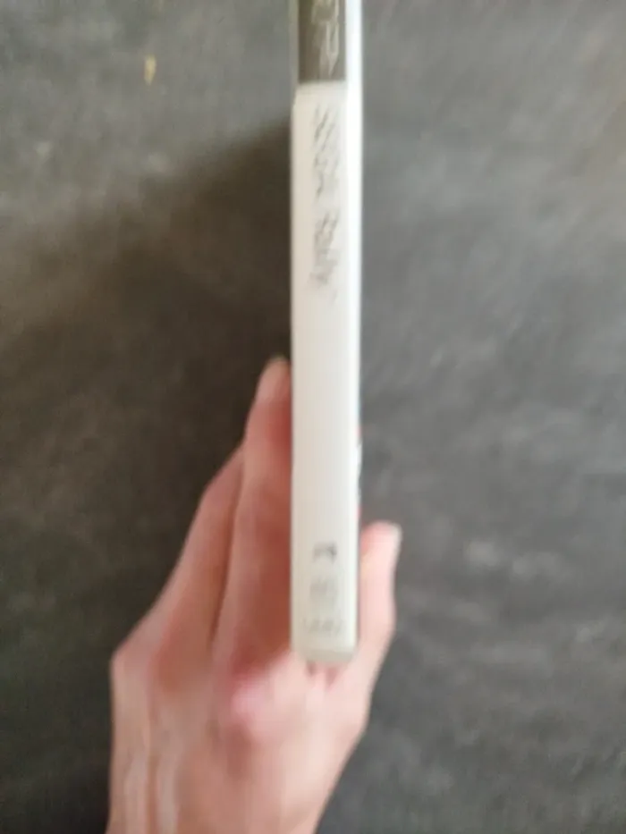 Jeu PSP Sega Rally - photo numéro 4