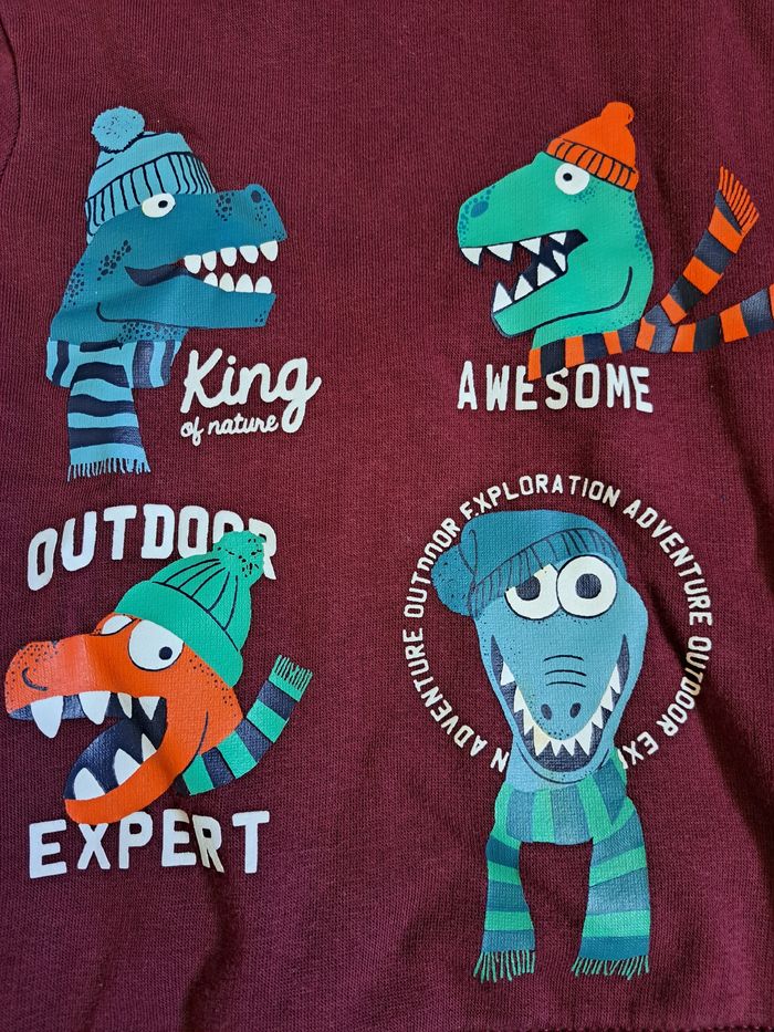 Sweat 4 ans - photo numéro 3