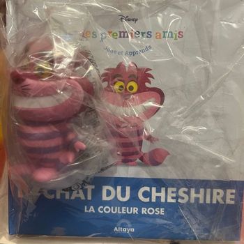 Livre Disney mes premiers amis sous blister, inclus la figurine 