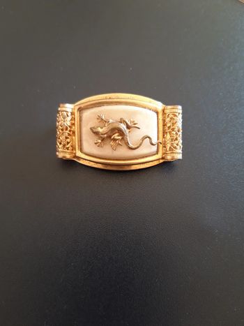 Broche Salamandre