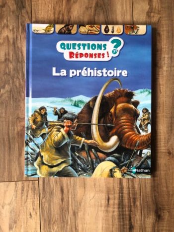 Questions réponses la préhistoire