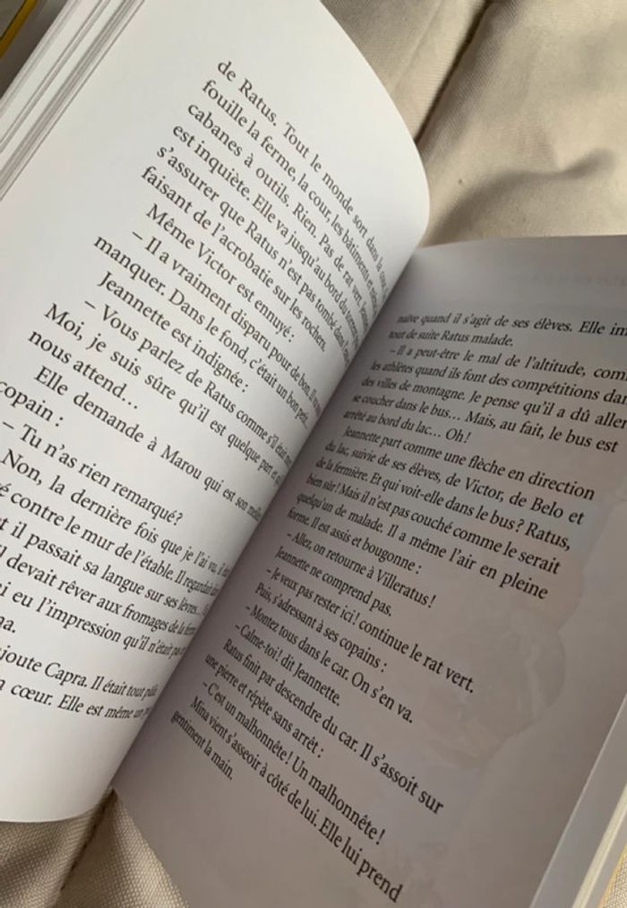 Ratus et sa classe en voyage - photo numéro 4