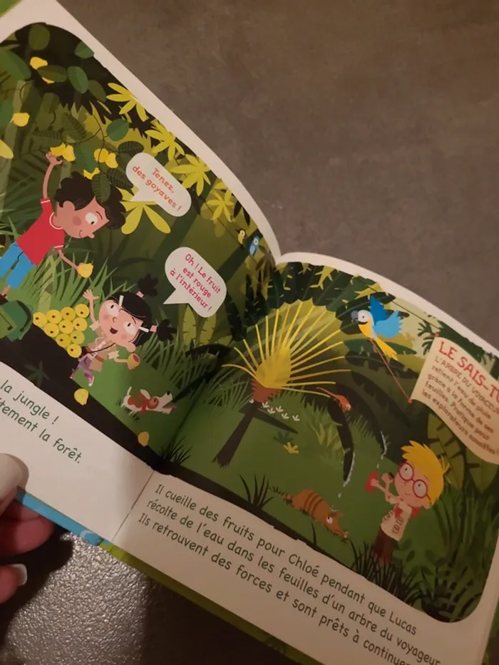 Les trésors de la jungle - photo numéro 3