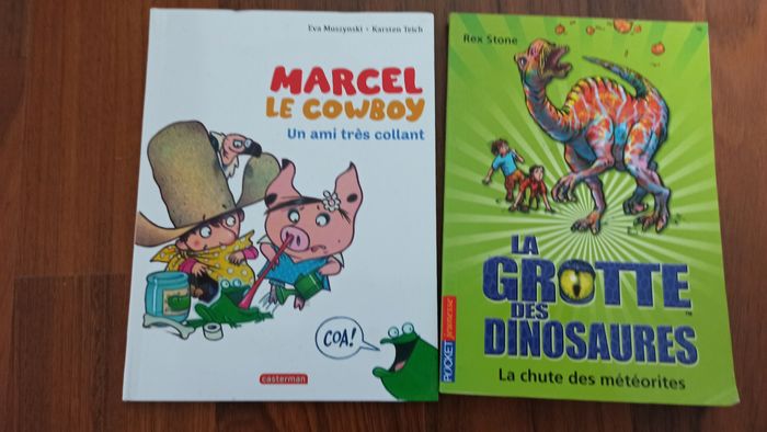 Lot de 9 livres enfants 6 à 10 ans environ - photo numéro 3