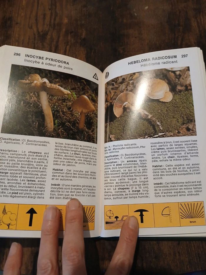 Livre Les champignons de France - photo numéro 5