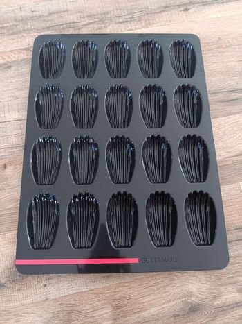 Moule 20 madeleines guy demarle orha neuf