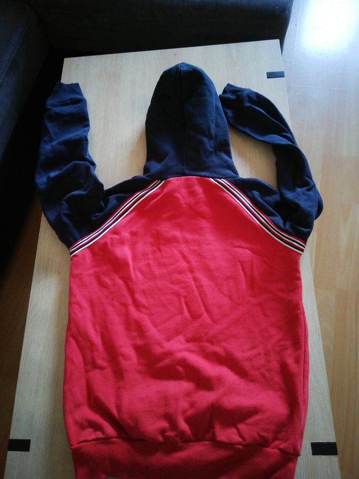 Sweat capuche garçon 12 ans - photo numéro 2