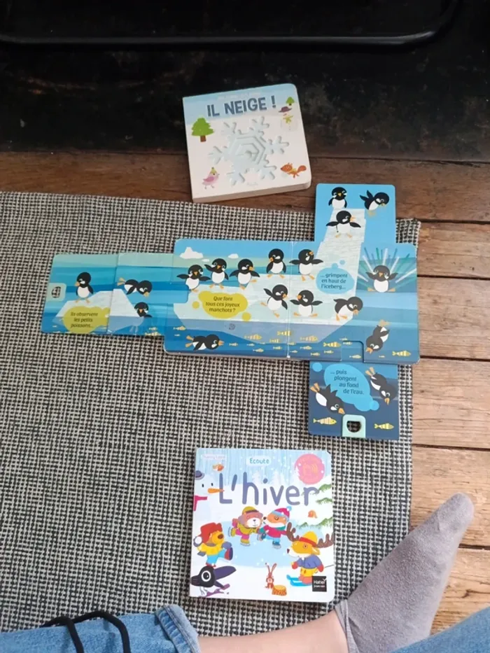 3 livres sur l'hiver - photo numéro 4