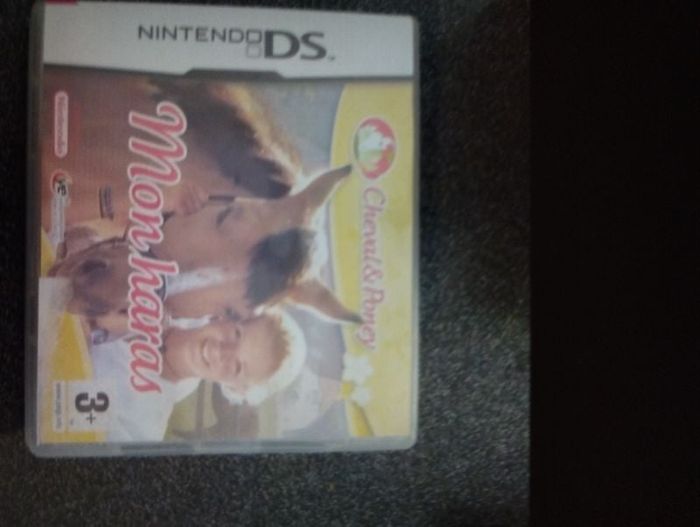 Jeux ds mon haras cheval poney