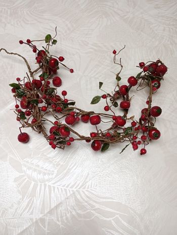 Branche baies Noël
